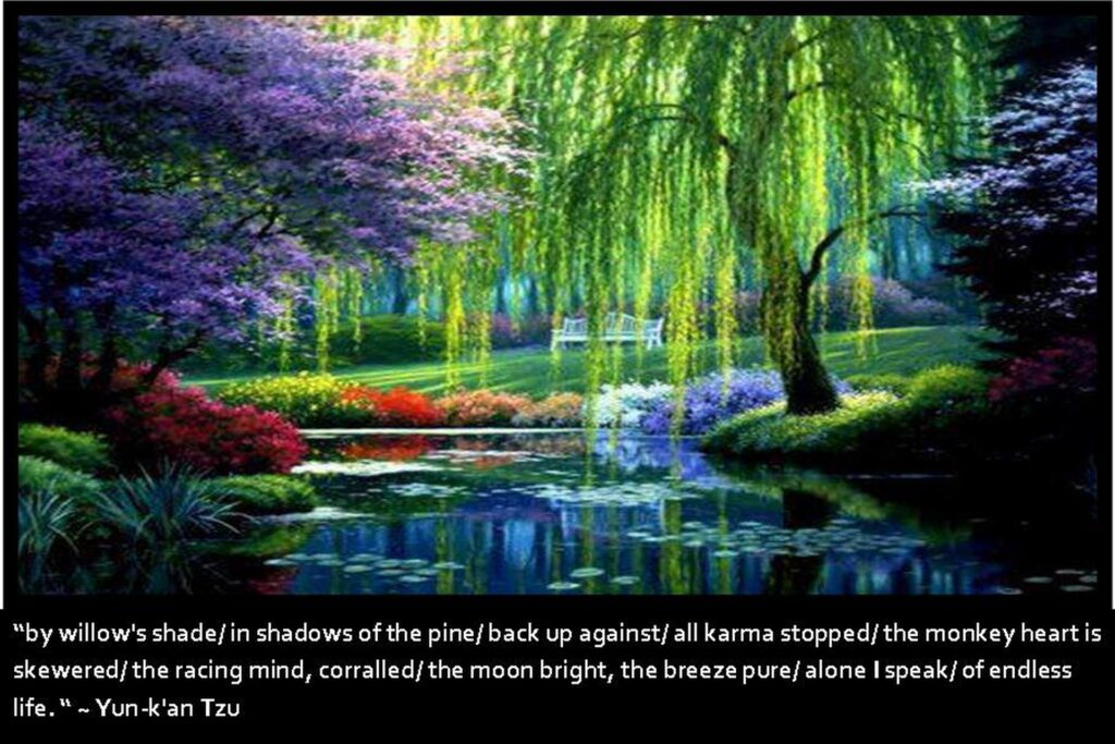 By Willow's Shade