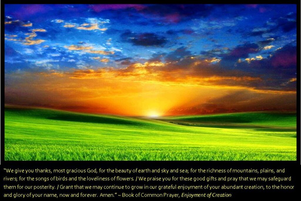Enjoyment of Creation
