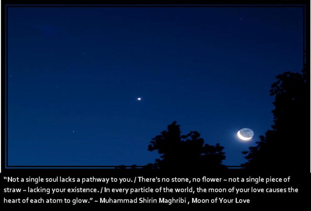 Moon of Your Love