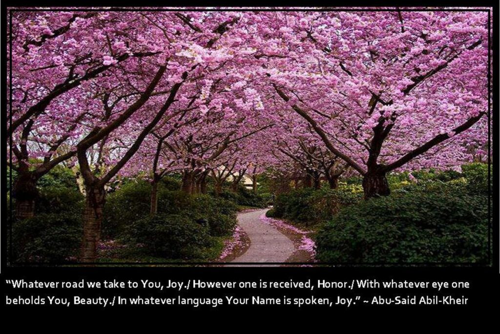 Whatever Road We Take To You, Joy